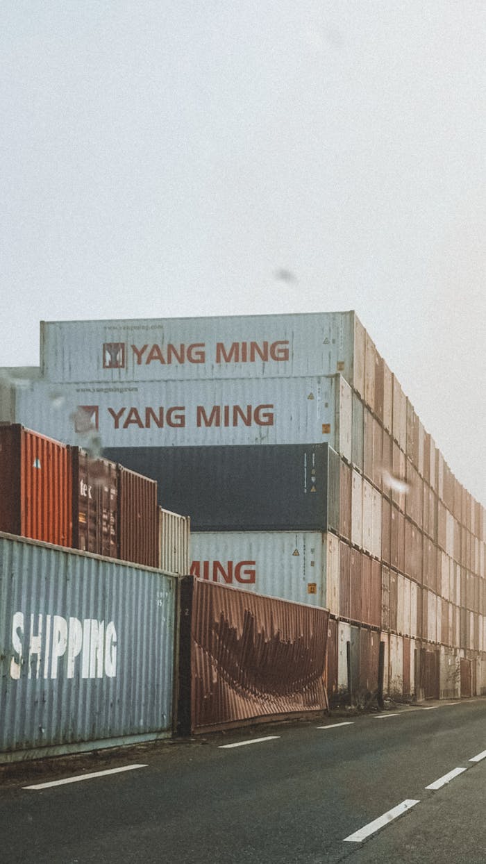 Rows of Yang Ming shipping containers stacked at port under hazy sky.
